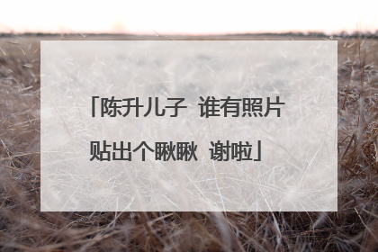 陈升儿子 谁有照片贴出个瞅瞅 谢啦