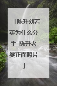 陈升刘若英为什么分手 陈升老婆正面照片