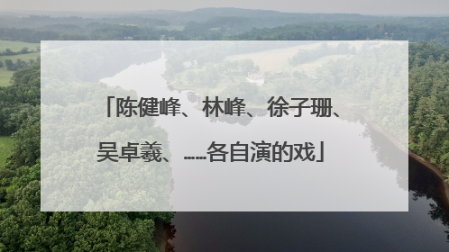 陈健峰、林峰、徐子珊、吴卓羲、……各自演的戏
