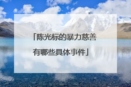 陈光标的暴力慈善有哪些具体事件