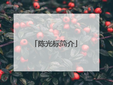 陈光标简介