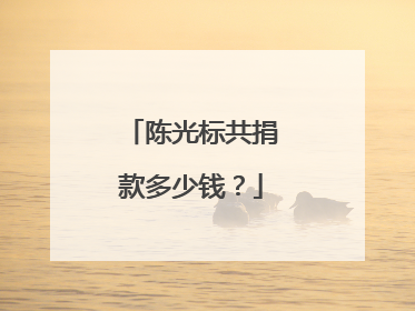 陈光标共捐款多少钱?
