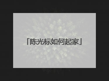 陈光标如何起家