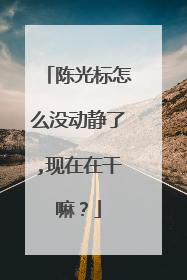 陈光标怎么没动静了,现在在干嘛？