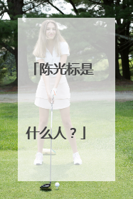 陈光标是什么人？