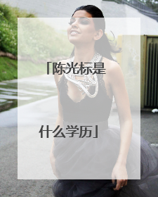 陈光标是什么学历