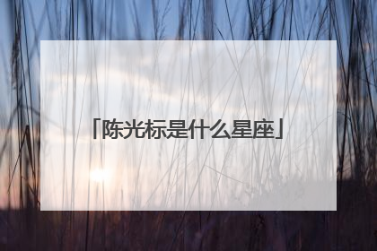 陈光标是什么星座