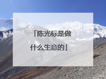 陈光标是做什么生意的