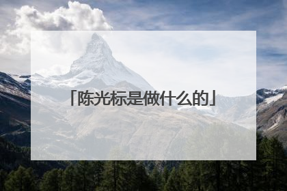 陈光标是做什么的