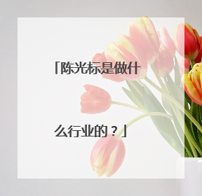 陈光标是做什么行业的？