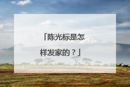 陈光标是怎样发家的？