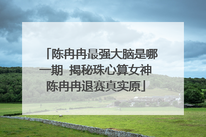陈冉冉最强大脑是哪一期 揭秘珠心算女神陈冉冉退赛真实原