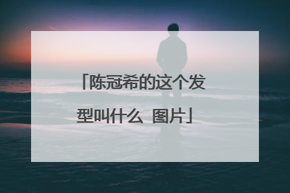 陈冠希的这个发型叫什么 图片