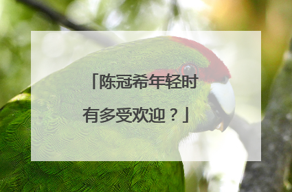 陈冠希年轻时有多受欢迎？