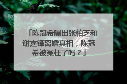 陈冠希曝出张柏芝和谢霆锋离婚真相，陈冠希被冤枉了吗？