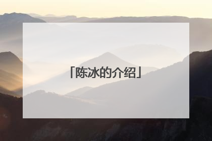 陈冰的介绍