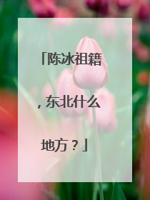 陈冰祖籍，东北什么地方？