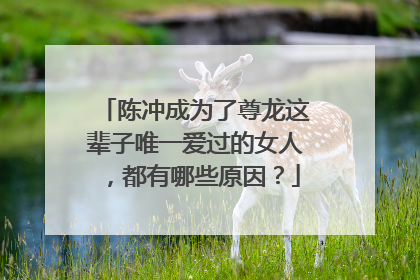 陈冲成为了尊龙这辈子唯一爱过的女人,都有哪些原因?