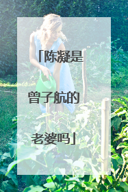 陈凝是曾子航的老婆吗