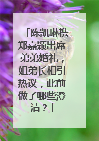 陈凯琳携郑嘉颖出席弟弟婚礼,姐弟长相引热议,此前做了哪些澄清?