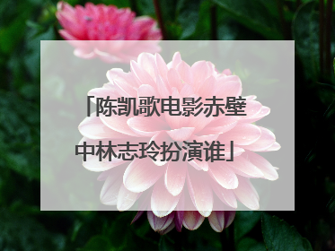 陈凯歌电影赤壁中林志玲扮演谁