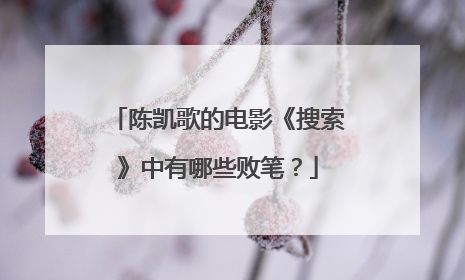 陈凯歌的电影《搜索》中有哪些败笔？