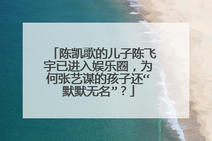 陈凯歌的儿子陈飞宇已进入娱乐圈，为何张艺谋的孩子还“默默无名”？