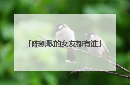 陈凯歌的女友都有谁