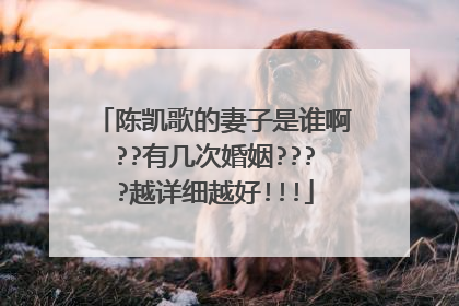 陈凯歌的妻子是谁啊??有几次婚姻????越详细越好!!!