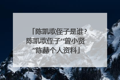 陈凯歌侄子是谁?陈凯歌侄子“曾小贤”陈赫个人资料