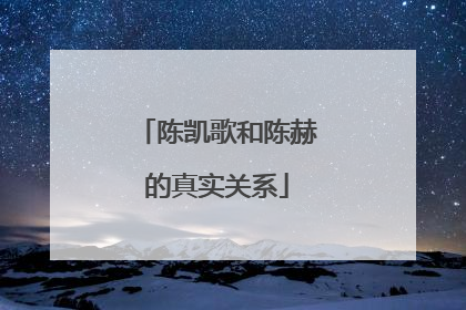 陈凯歌和陈赫的真实关系