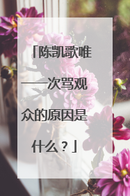陈凯歌唯一一次骂观众的原因是什么？