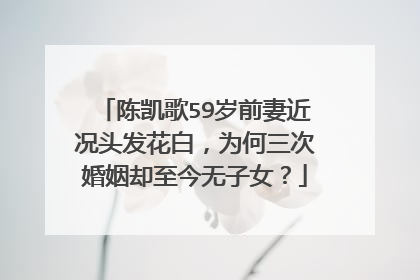 陈凯歌59岁前妻近况头发花白,为何三次婚姻却至今无子女?