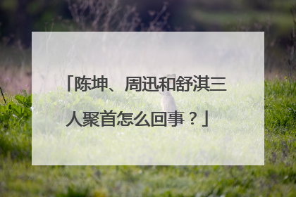 陈坤、周迅和舒淇三人聚首怎么回事？