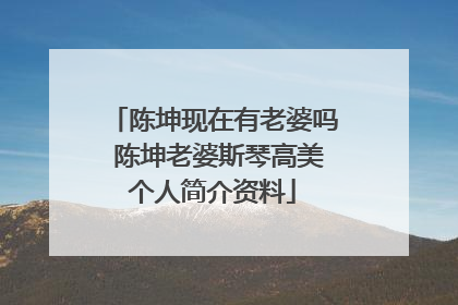 陈坤现在有老婆吗 陈坤老婆斯琴高美个人简介资料