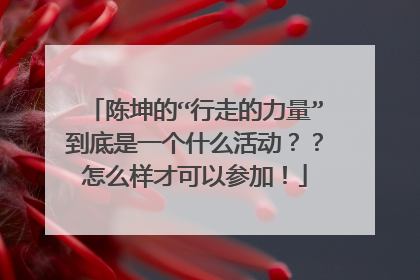 陈坤的“行走的力量”到底是一个什么活动？？怎么样才可以参加！