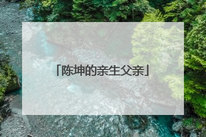 陈坤的亲生父亲