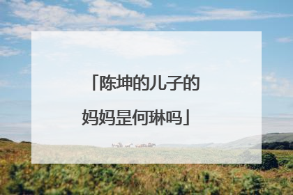 陈坤的儿子的妈妈昰何琳吗