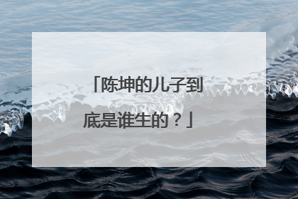 陈坤的儿子到底是谁生的？