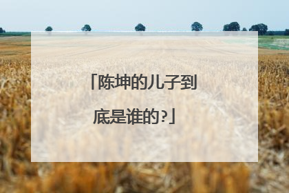 陈坤的儿子到底是谁的?
