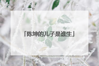 陈坤的儿子是谁生