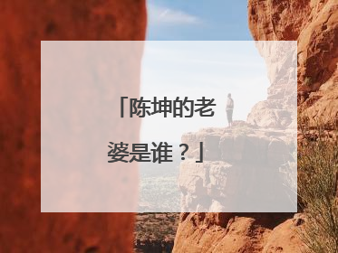 陈坤的老婆是谁?