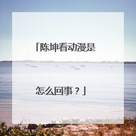 陈坤看动漫是怎么回事？