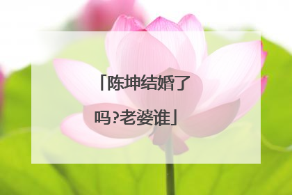 陈坤结婚了吗?老婆谁