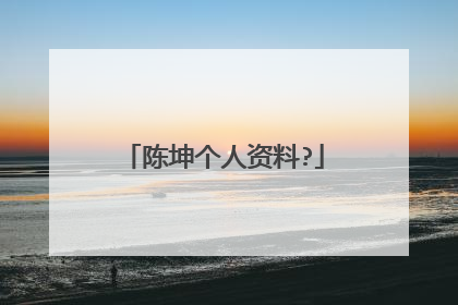 陈坤个人资料?