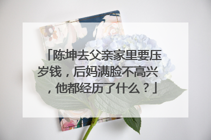 陈坤去父亲家里要压岁钱，后妈满脸不高兴，他都经历了什么？