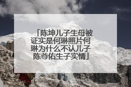 陈坤儿子生母被证实是何琳照片何琳为什么不认儿子陈尊佑生子实情