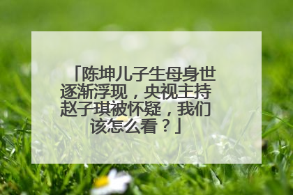 陈坤儿子生母身世逐渐浮现，央视主持赵子琪被怀疑，我们该怎么看？