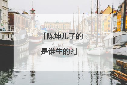 陈坤儿子的是谁生的?