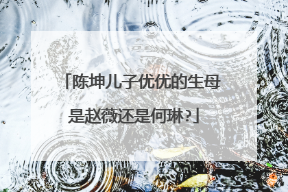 陈坤儿子优优的生母是赵薇还是何琳?